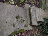 image of grave number 806528